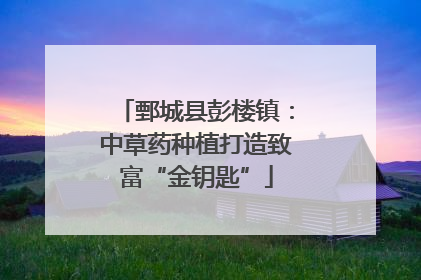 鄄城县彭楼镇：中草药种植打造致富“金钥匙”