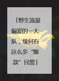 野生流量偏爱的一大队，缘何有这么多“爆款”民警