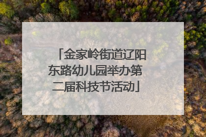 金家岭街道辽阳东路幼儿园举办第二届科技节活动