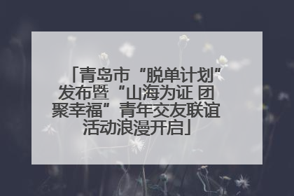 青岛市“脱单计划”发布暨“山海为证 团聚幸福”青年交友联谊活动浪漫开启