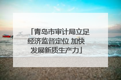 青岛市审计局立足经济监督定位 加快发展新质生产力