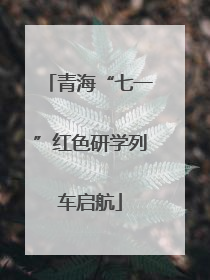 青海“七一”红色研学列车启航