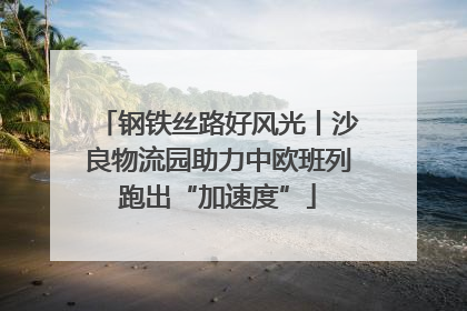 钢铁丝路好风光丨沙良物流园助力中欧班列跑出“加速度”