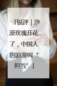 锐评｜沙漠玫瑰开花了，中国人的浪漫叫“担当”