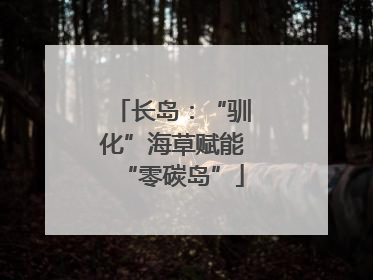 长岛：“驯化”海草赋能“零碳岛”