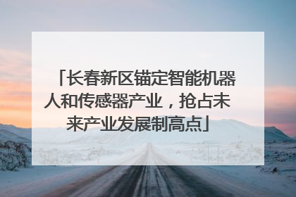 长春新区锚定智能机器人和传感器产业，抢占未来产业发展制高点