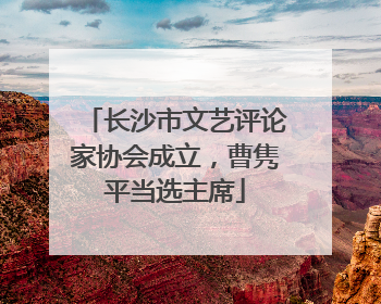 长沙市文艺评论家协会成立，曹隽平当选主席