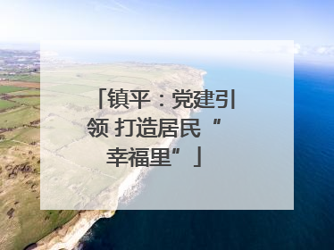 镇平：党建引领 打造居民“幸福里”
