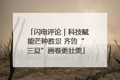 闪电评论｜科技赋能芒种胜景 齐鲁“三夏”画卷更壮美