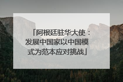 阿根廷驻华大使：发展中国家以中国模式为范本应对挑战