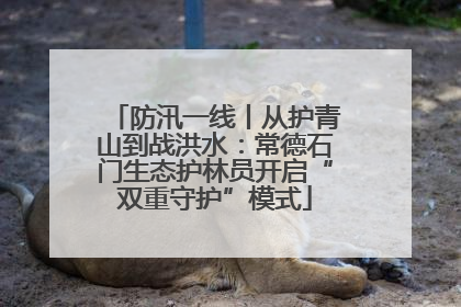 防汛一线丨从护青山到战洪水：常德石门生态护林员开启“双重守护”模式