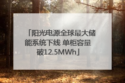 阳光电源全球最大储能系统下线 单柜容量破12.5MWh