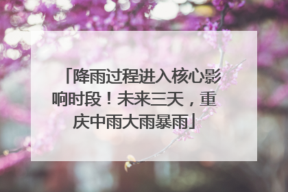 降雨过程进入核心影响时段！未来三天，重庆中雨大雨暴雨