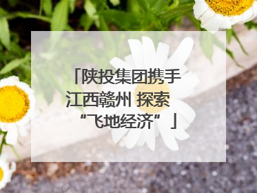 陕投集团携手江西赣州 探索“飞地经济”