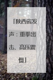 陕西省发声：重拳出击、高压震慑