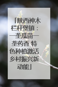 陕西神木栏杆堡镇：一垄瓜苗一垄药香 特色种植激活乡村振兴新动能