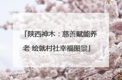 陕西神木：慈善赋能养老 绘就村社幸福图景