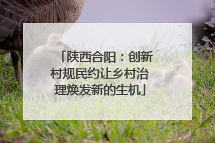 陕西合阳：创新村规民约让乡村治理焕发新的生机
