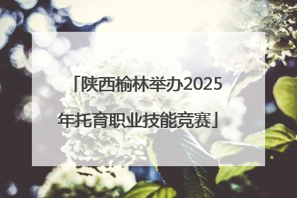 陕西榆林举办2025年托育职业技能竞赛