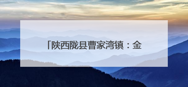 陕西陇县曹家湾镇：金色麦田里的“志愿红”