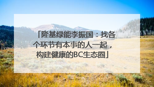 隆基绿能李振国：找各个环节有本事的人一起，构建健康的BC生态圈