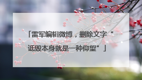雷军编辑微博，删除文字“诋毁本身就是一种仰望”
