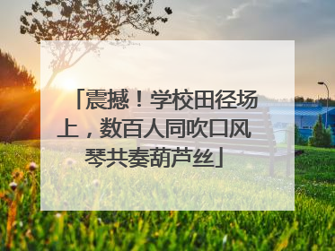 震撼！学校田径场上，数百人同吹口风琴共奏葫芦丝
