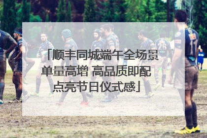 顺丰同城端午全场景单量高增 高品质即配点亮节日仪式感