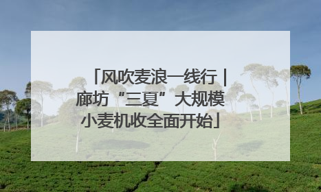 风吹麦浪一线行｜廊坊“三夏”大规模小麦机收全面开始