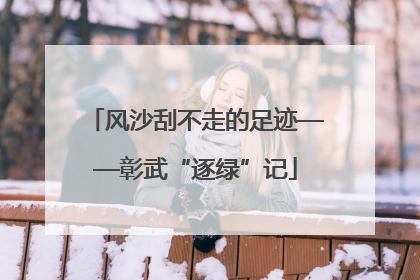 风沙刮不走的足迹——彰武“逐绿”记