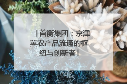 首衡集团：京津冀农产品流通的枢纽与创新者