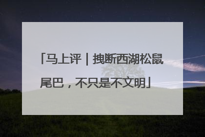 马上评｜拽断西湖松鼠尾巴，不只是不文明