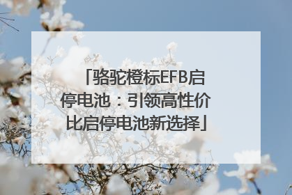 骆驼橙标EFB启停电池：引领高性价比启停电池新选择