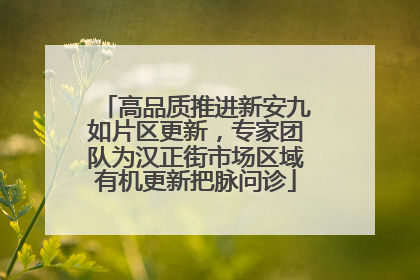 高品质推进新安九如片区更新，专家团队为汉正街市场区域有机更新把脉问诊