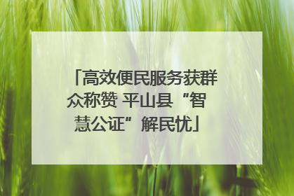 高效便民服务获群众称赞 平山县“智慧公证”解民忧