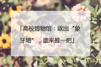 高校博物馆：欲出“象牙塔”，谁来推一把