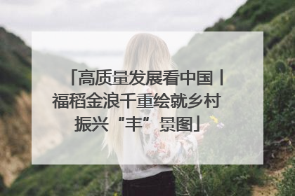 高质量发展看中国丨福稻金浪千重绘就乡村振兴“丰”景图