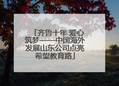 齐鲁十年 爱心筑梦——中国海外发展山东公司点亮希望教育路
