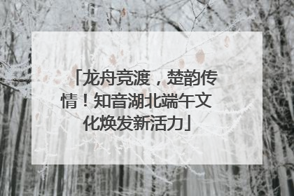 龙舟竞渡，楚韵传情！知音湖北端午文化焕发新活力
