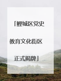 鲤城区党史教育文化街区正式揭牌