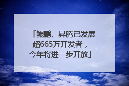 鲲鹏、昇腾已发展超665万开发者，今年将进一步开放