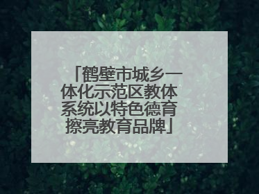 鹤壁市城乡一体化示范区教体系统以特色德育擦亮教育品牌
