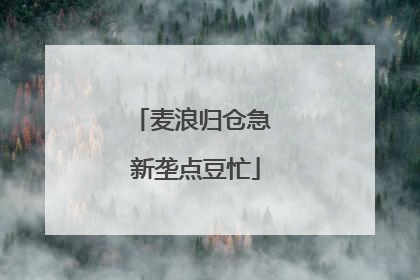 麦浪归仓急 新垄点豆忙