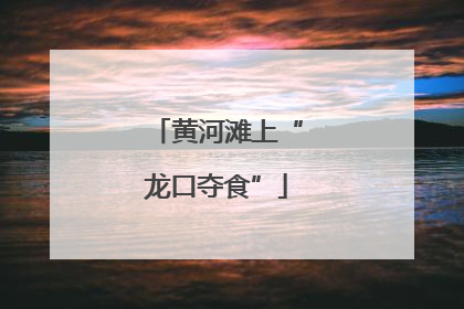 黄河滩上“龙口夺食”