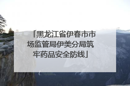 黑龙江省伊春市市场监管局伊美分局筑牢药品安全防线