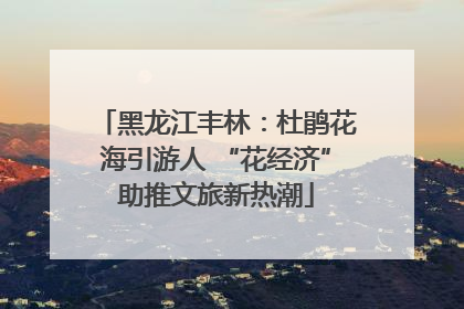 黑龙江丰林：杜鹃花海引游人 “花经济”助推文旅新热潮