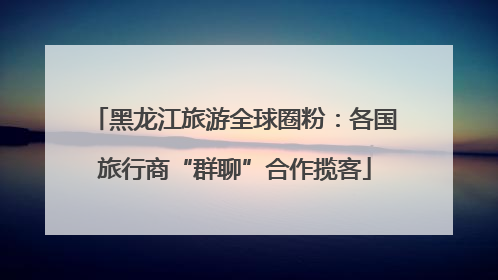 黑龙江旅游全球圈粉：各国旅行商“群聊”合作揽客