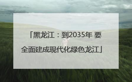 黑龙江：到2035年 要全面建成现代化绿色龙江