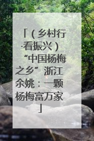 （乡村行·看振兴）“中国杨梅之乡”浙江余姚：一颗杨梅富万家