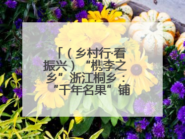 （乡村行·看振兴）“槜李之乡”浙江桐乡：“千年名果”铺就乡村共富路